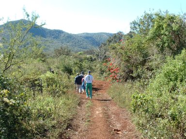 A walk to invite the locals to the clinic